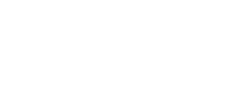 Distinctive Systems - Screenshot